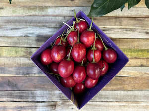 avocado: 2kg Tamarillo Box - Field Grade