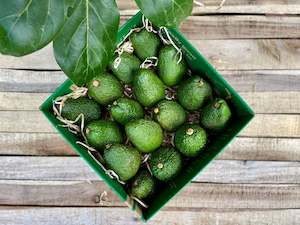 avocado: Little Beauties Box