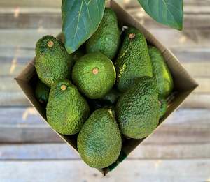 Frontpage: 30 Large Avocados