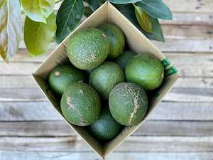 5kg Reed Avo Seconds