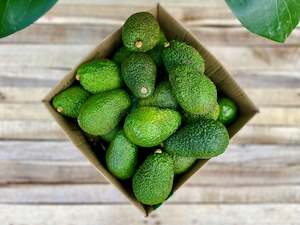Avocados: 30 Small Avocados