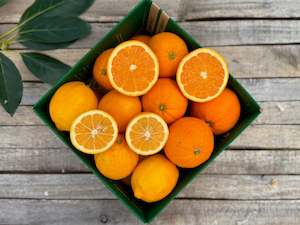 Lemon & Orange Combo box