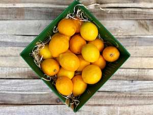 Frontpage: 3kg Meyer Lemons