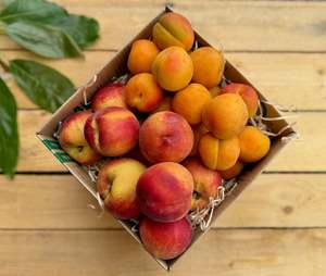 Frontpage: 4kg Peach and Apricot Combo Box - URBAN ONLY