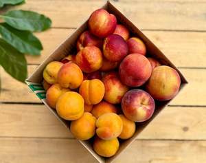 3kg Nectarine and Apricot Combo Box - URBAN ONLY