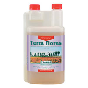 Canna: Canna - Terra Flores