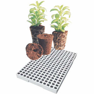 Jiffy - Performa Plugs 78 Cell