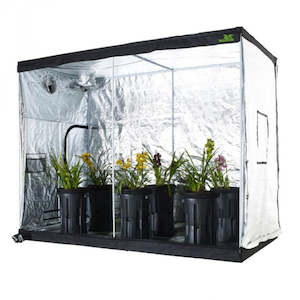 Jungle Room: Jungle Room - Tent 120x220x200cm