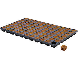 Eazy Plug: Eazy Plug - CT77 Tray