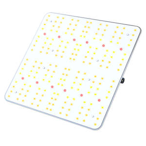 Flexstar: Flexstar - PB Quantum Board 120w