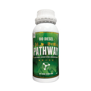 Bio Diesel: Bio Diesel - Pathway