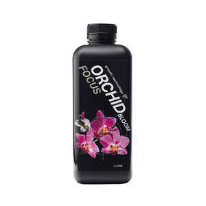 Gt Clonex: Growth Technology - Orchid Focus Bloom