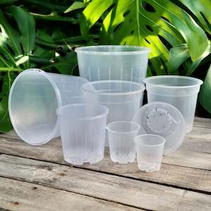 Pots: Clear Nursery Pot Sample Set
