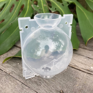 One Offs Reduced To Clear: Propagation Rooting Ball Medium (8cm) SECONDS