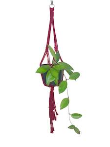 One Offs Reduced To Clear: 'Knotted' Macrame Plant Hanger