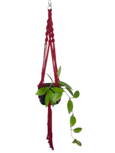 One Offs Reduced To Clear: 'Fully Twisted' Macrame Plant Hanger