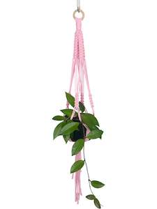 'Fully Knotted' Macrame Plant Hanger