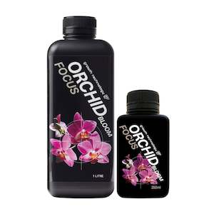Growth Technology Orchid Focus Bloom