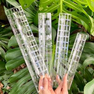 Plant Poles Supports: THICCLY Clear Grow Pole