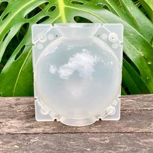 Accessories: Propagation Rooting Ball Large (12cm) SECONDS (Sample Set Available)