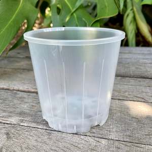 Clear Nursery Pot 10cm SECONDS