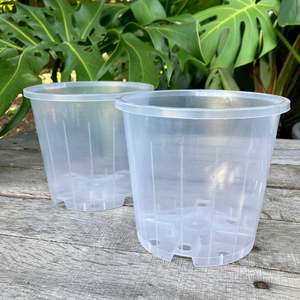 Clear Nursery Pot 14cm SECONDS
