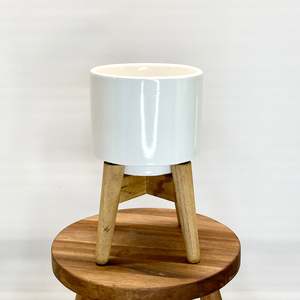 White Pot with Stand