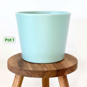One Offs Reduced To Clear: Millie Ceramic Cover Pot - 15cm SECONDS