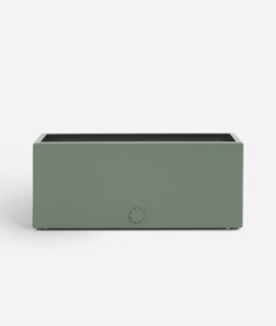 bench top baby | leafy green