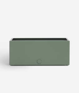 All: second | bench top baby | leafy green