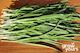 Chives âGarlicâ