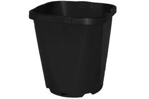 Accessories: 1.0L Square Pot