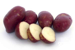 Vegetable Seeds: Potato ‘Red King’