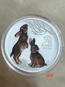 1 Oz Silver Coins - Colour Rabbit Perth Mint 2