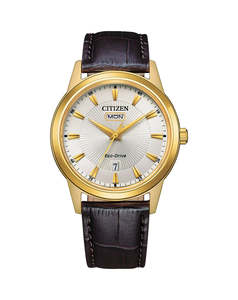 Citizen Eco-Drive AW0102-13A