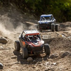 RZR Rey, 1/10 4WD Brushless RTR, Polaris by LOSI