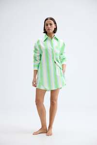 Buddy Shirt - Fern Lapis Stripe