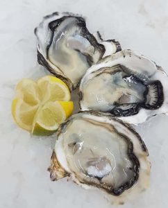 Products: Marlborough 1/2 shell Oysters - Guytons