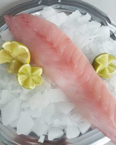 Bluenose Fillet - Guytons