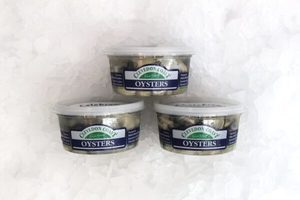 Clevedon Coast - Fresh Oyster Meat Pottle - Guytons