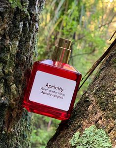 Products: APRICITY Perfume Spray — Winter Warmth & Inner Hearth Redamancy