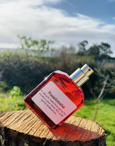 Passionate Perfume Mist — Warmth, Energy & Quiet Power Redamancy