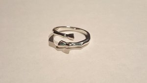 Horse Leg and Hoof Ring