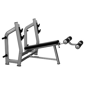 Commercial Equipment Prodigy X Series: Decline Bench Press
