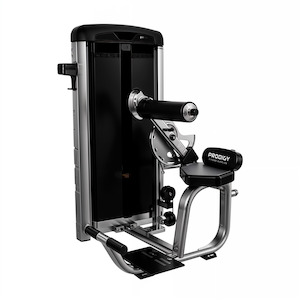Commercial Gym Equipment Prodigy Elite Series: Ab Builder
