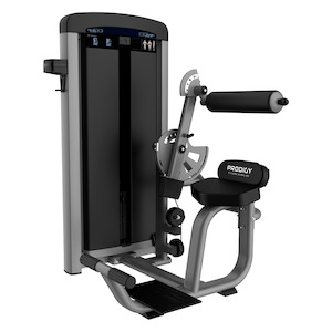 Commercial Gym Equipment Prodigy Elite Series: Back builder