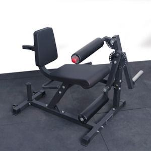 Prodigy Leg Extension & Hamstring Curl Machine
