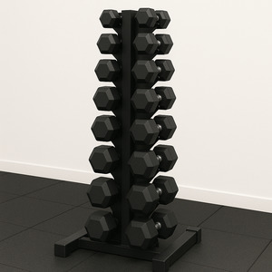 Dumbell Packages Storage: Prodigy Summit-8 Dumbbell Stand