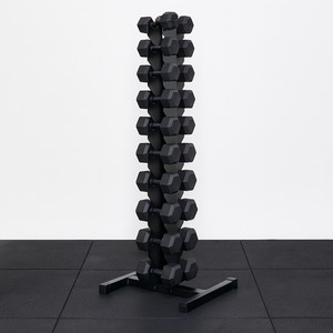 Dumbell Packages Storage: Prodigy Summit-10 Dumbbell Stand