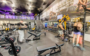 Products: Flex Fitness Manukau